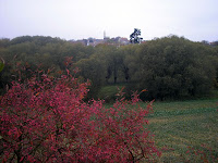 PA255575.JPG