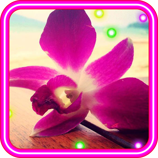 Orchid China HD live wallpaper 個人化 App LOGO-APP開箱王