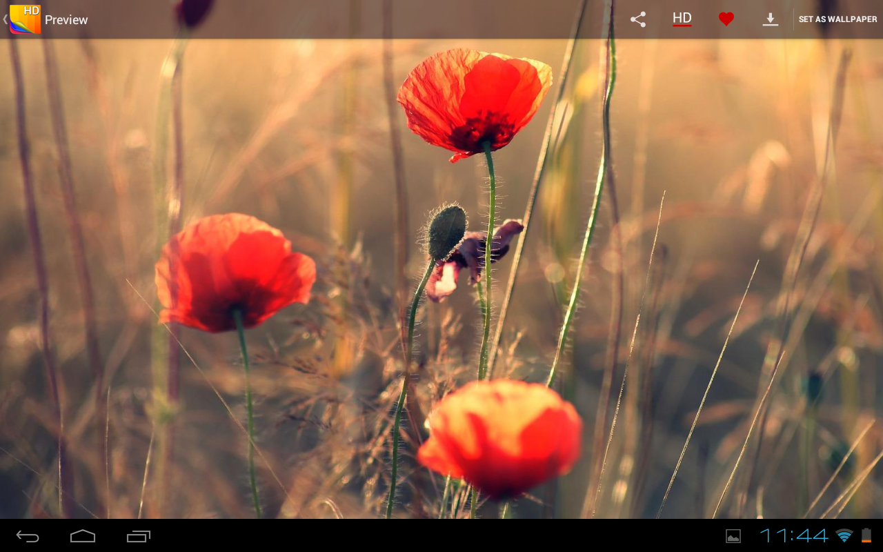 Premium Wallpapers HD - screenshot