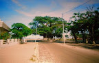 Le plus grand baobab de mahajanga