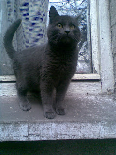 Picture%20312.jpg