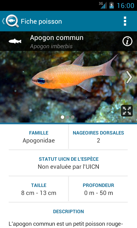 BiodiverSea - Poissons Screen 2