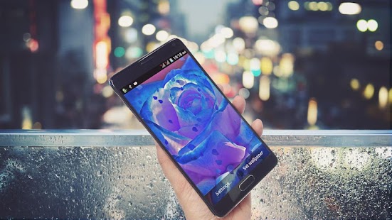 Download Blue Rose HD LiveWallpaper APK for PC