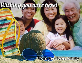 Camera ZOOM FX Summer Pack poster 7