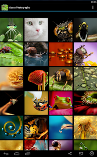 How to get Macro Photography lastet apk for bluestacks