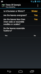 Trees of Georgia poster 3