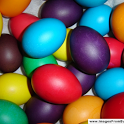 Eggs live wallpaper icon