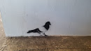 Hidden Pigeon