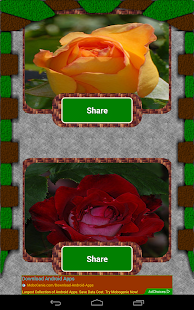 Flower Mania photo share pro Screenshots 4