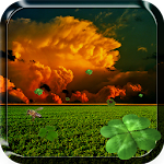 Clover Live Wallpaper Apk