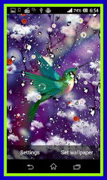Humming Bird Live Wallpaper poster 8