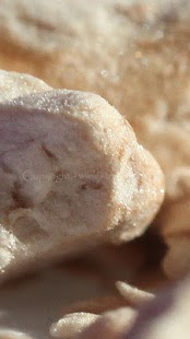 How to download Meth lastet apk for pc