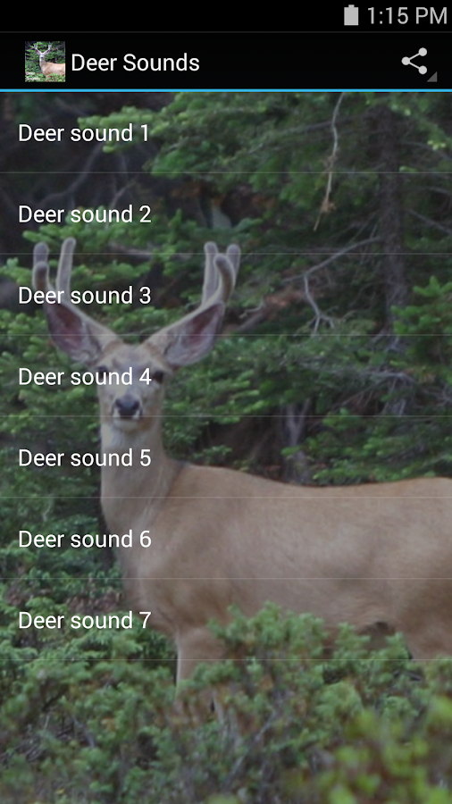 Deer Sounds Android Apps on Google Play