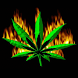 Flaming Weed Live Wallpaper