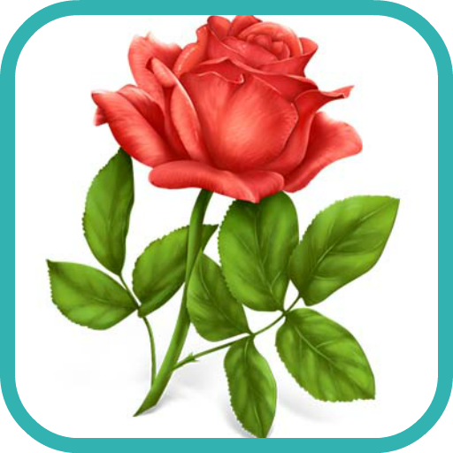 How to Draw a Rose Flower Art 娛樂 App LOGO-APP開箱王