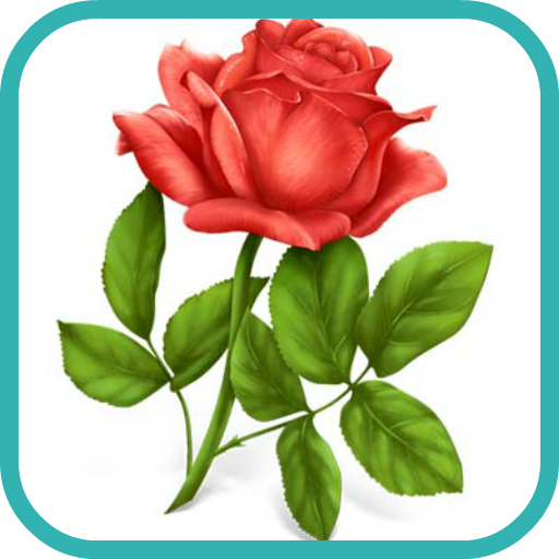 How to Draw a Rose Flower Art LOGO-APP點子