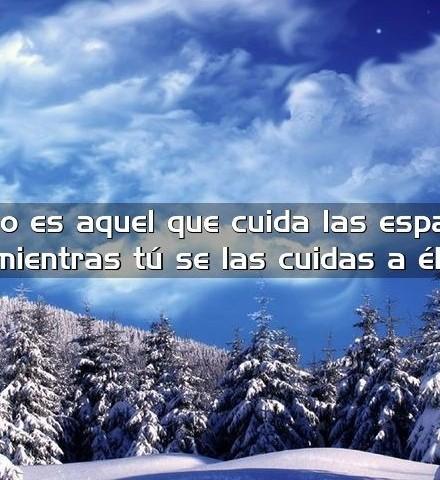 【免費生活App】Frases De Amistad-APP點子