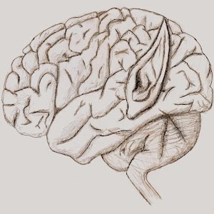 Elvish Translator (Real)