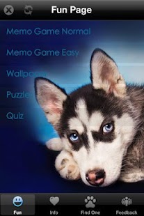 How to get Husky+ Free 1.0 apk for laptop