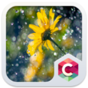 Yellow Flower Clauncher Theme.apk 4.1.1