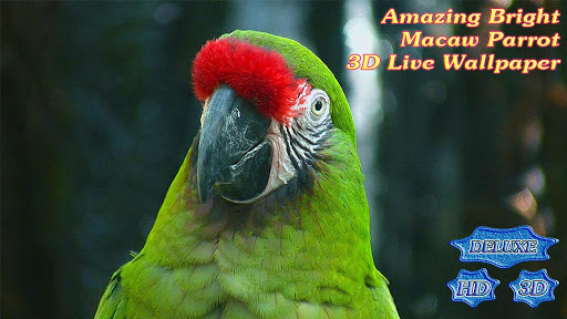 【免費個人化App】Amazing Bright Macaw Parrot-APP點子