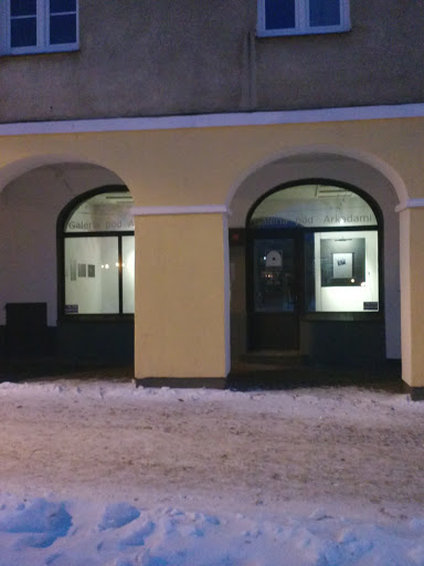 Galeria Pod Arkadami