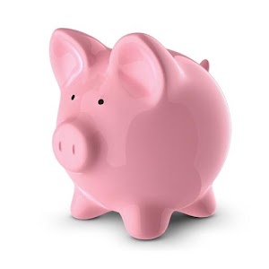 Money Saving Mom Reader Mobile.apk 3.0