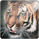 3D Tiger (PRO) icon