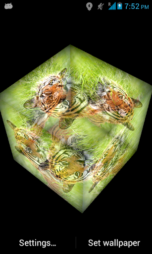 免費下載個人化APP|3D Tiger Live Wallpaper app開箱文|APP開箱王