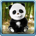Talking Panda mobile app icon