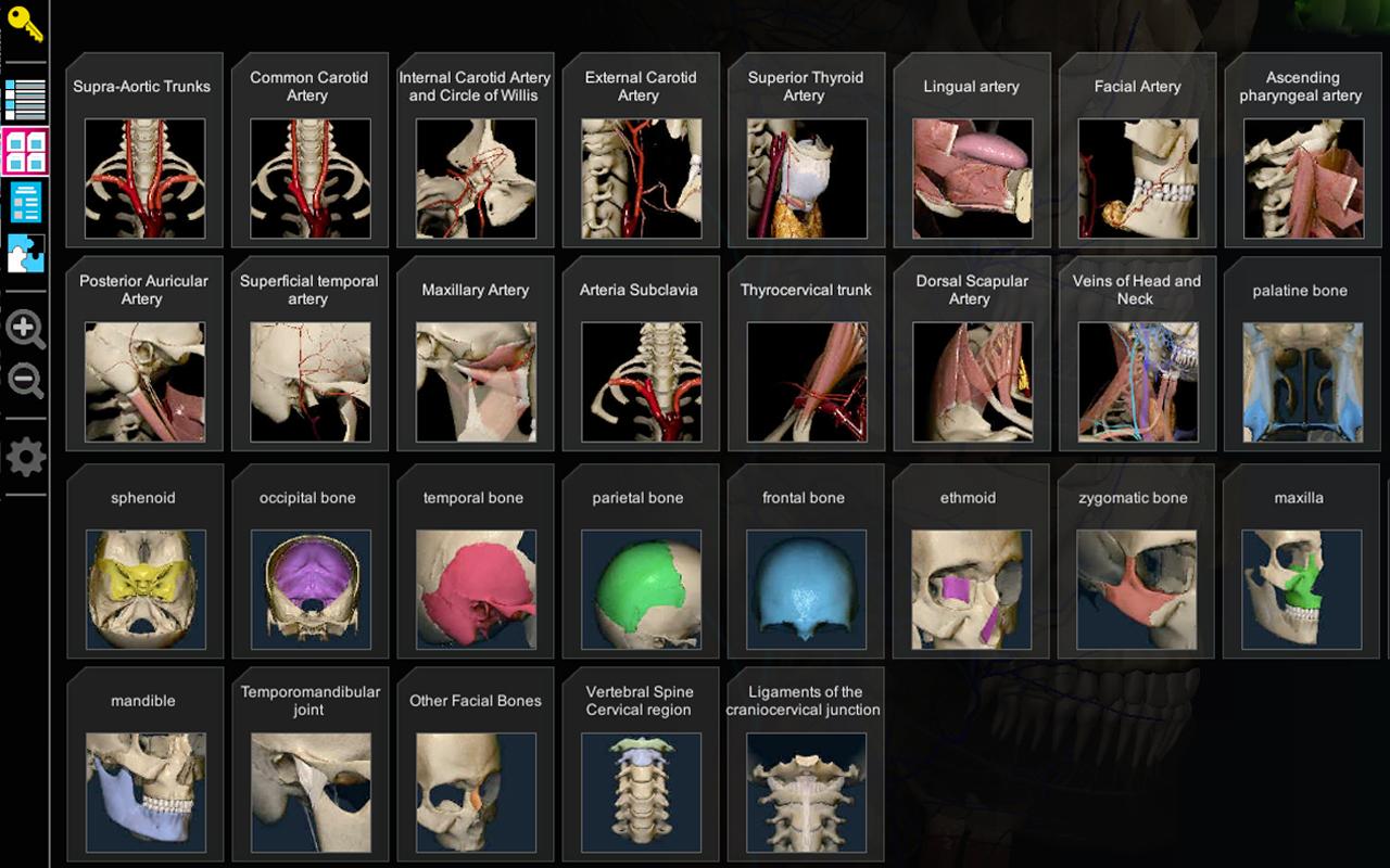   Anatomy Learning - 3D Atlas: captura de pantalla 