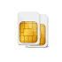 DualSim Data Manager1.2