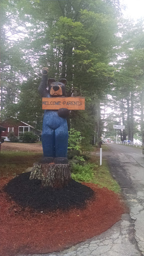 The Welcome Bear