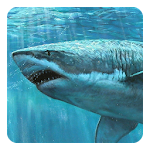 Shark 3D Live Wallpaper Apk