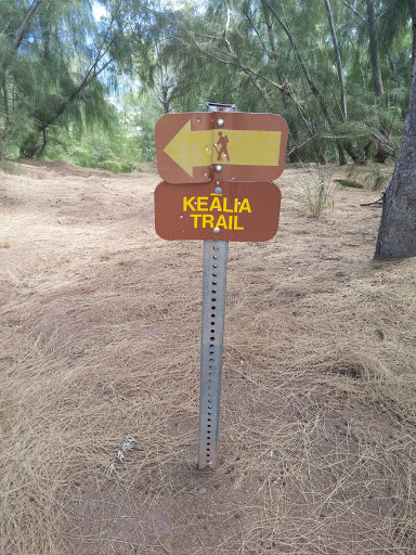 Top Of Kealia Trail