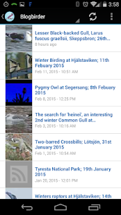 Bird Watching Blogs Free Screenshots 3