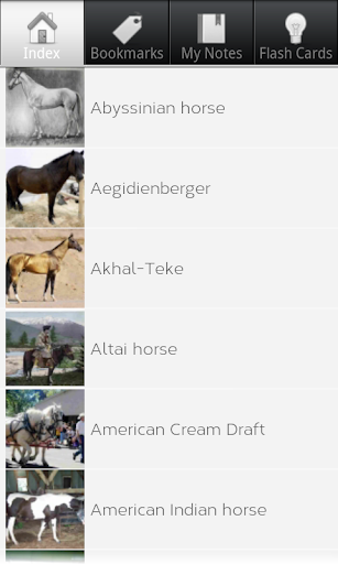 Horse Breeds: Types of Horse