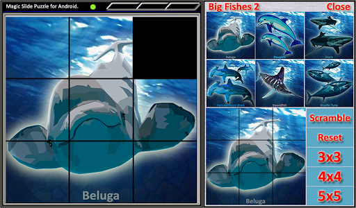 【免費解謎App】Magic Slide Puzzle B Fishes 2-APP點子