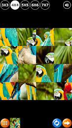 Tile Puzzle: Birds poster 6