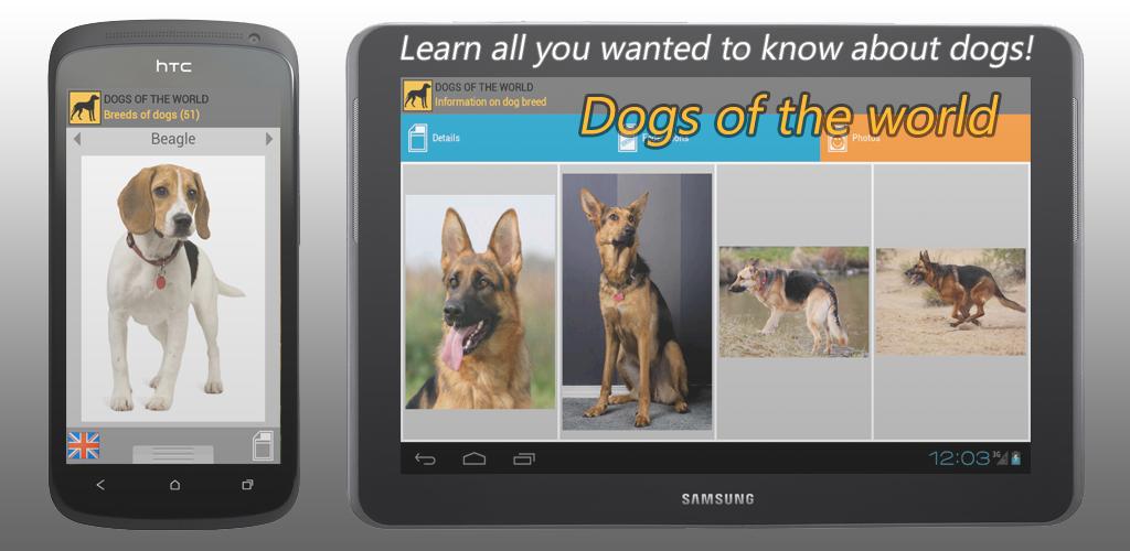 Включи приложение собака. Включи приложение собака. Собака с телефоном. Включи приложение собака. Собака лижет экран.