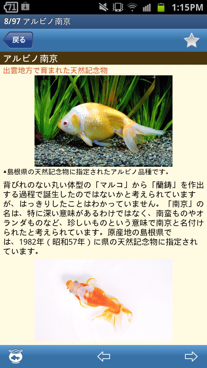 金魚図鑑ベスト100 Screen 3