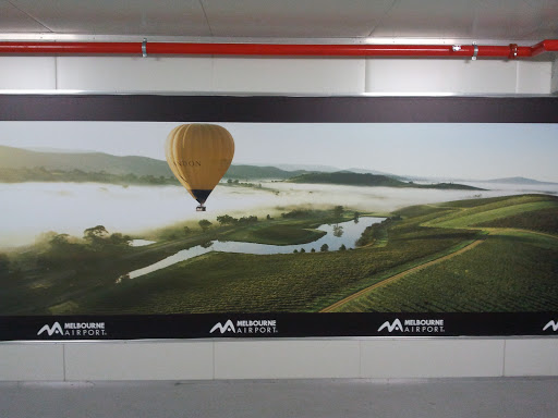 Balloon Wall Art