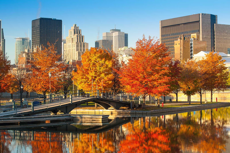 Fall foliage in Montreal.