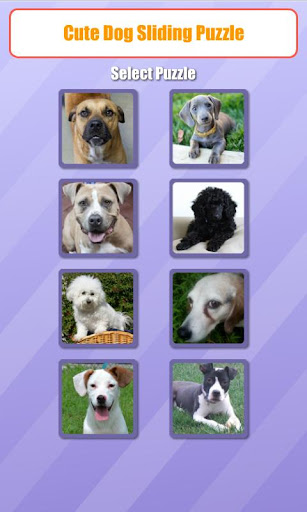 Cute Dog Sliding Puzzle