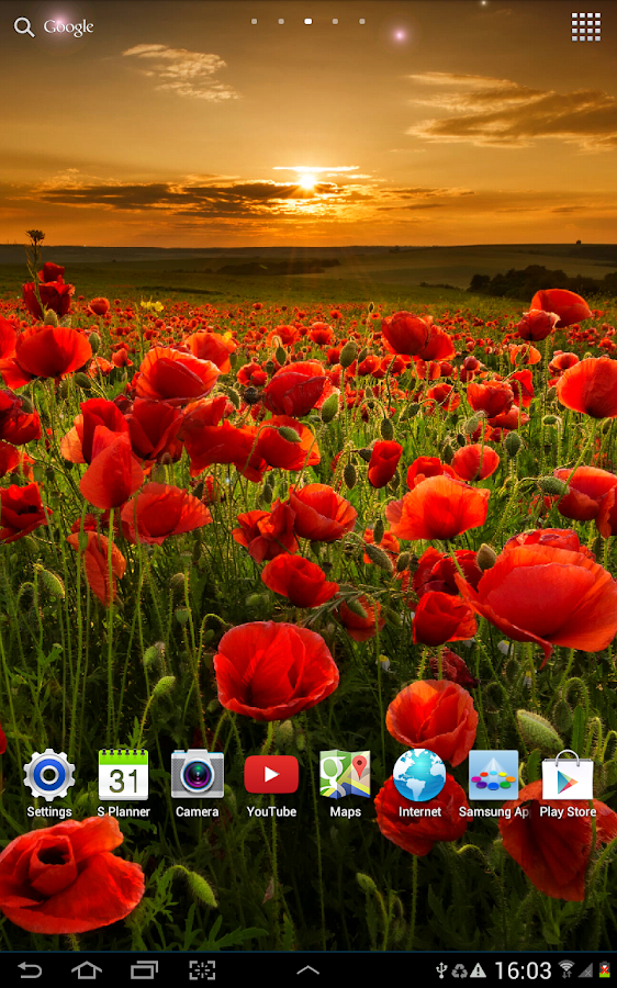 Flower Live Wallpaper - Android Apps on Google Play