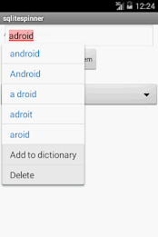 SpinnerSpot - Vidya Rathod poster 3