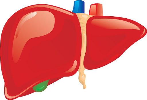 免費下載健康APP|Liver Disease Fact app開箱文|APP開箱王