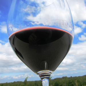 New York Winery Finder: Tablet 1.1