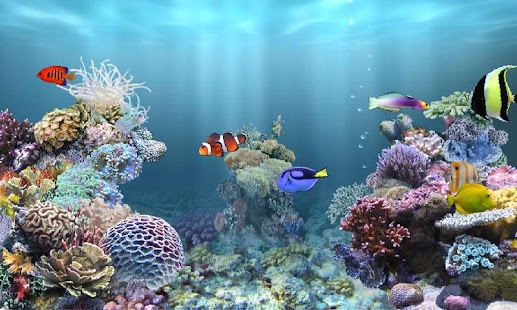 aniPet Marine Aquarium HD