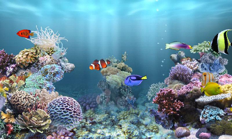 aniPet Marine Aquarium HD Android Apps on Google Play